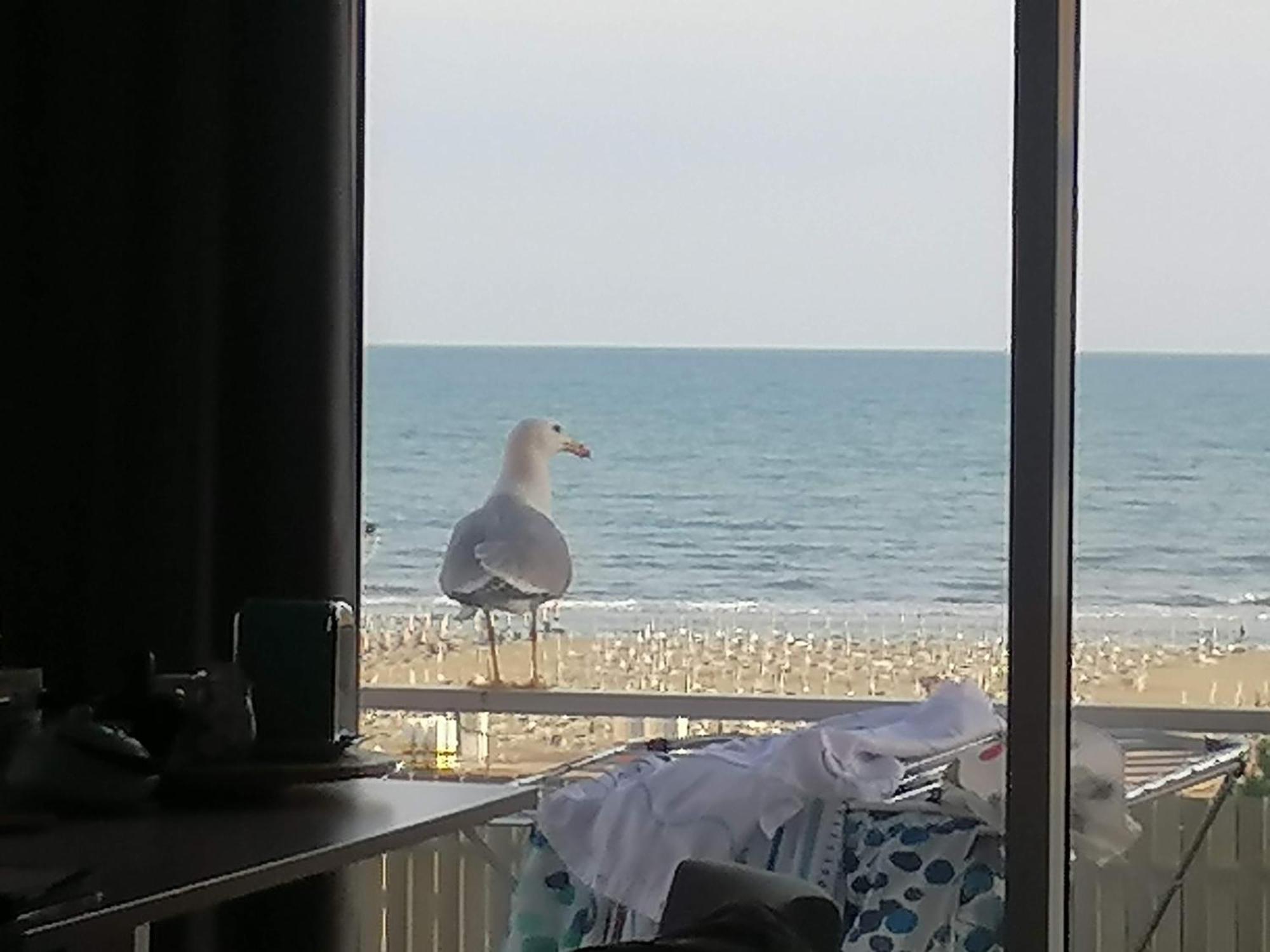 Villa Silente L Bibione Buitenkant foto